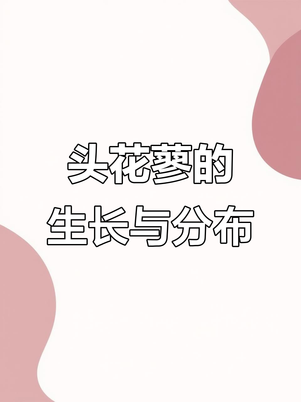 头花蓼:一种耐寒草本植物,分布于中国及亚洲各地