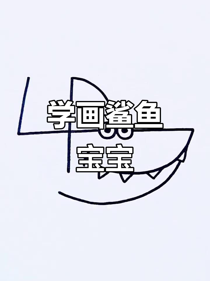 鲨鱼宝宝学画画，简单步骤教你画出可爱小动物