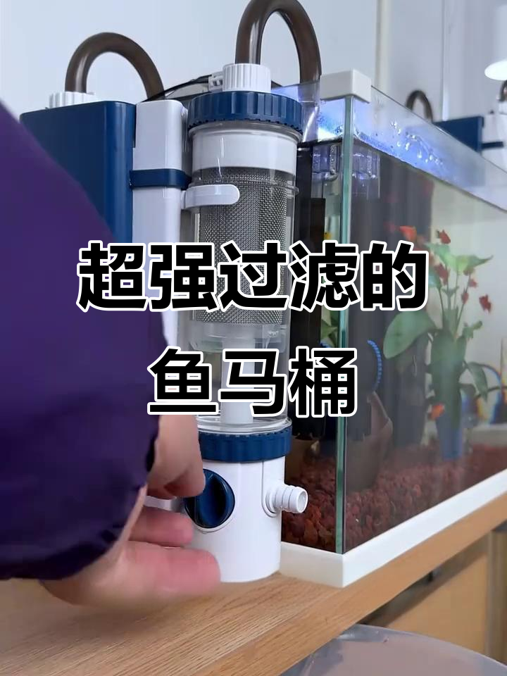 鱼马桶过滤器让养鱼更方便，四层滤盒设计超实用