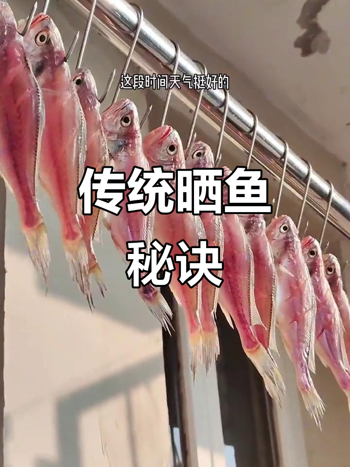 传统晒鱼干,简单又美味!保存新鲜口感的小技巧