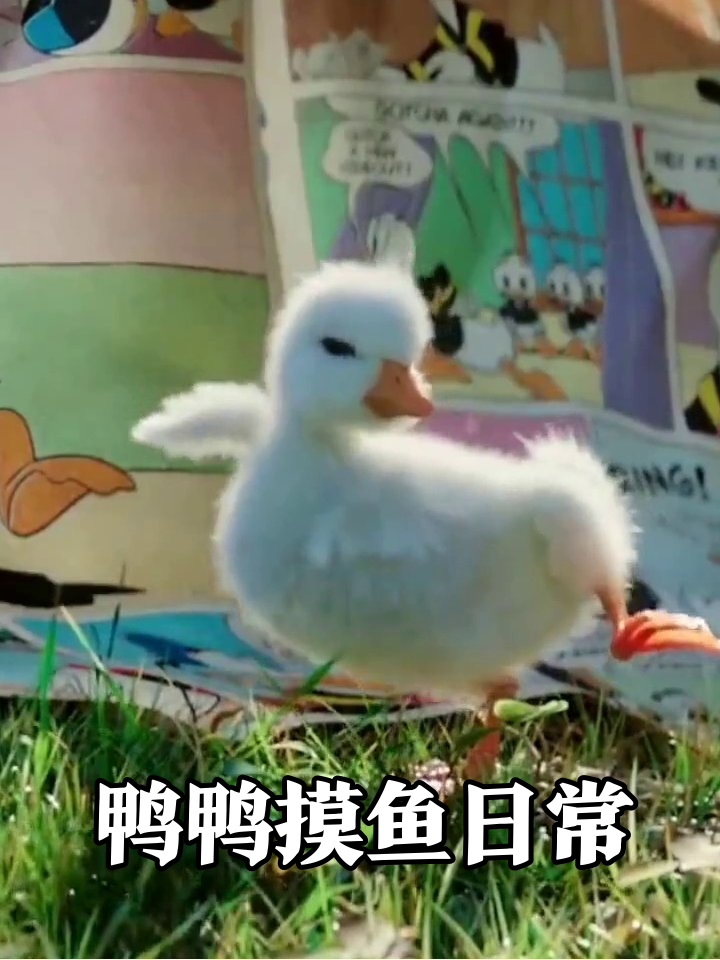 小鸭子偷看漫画书,伸腿扭臀萌翻了!
