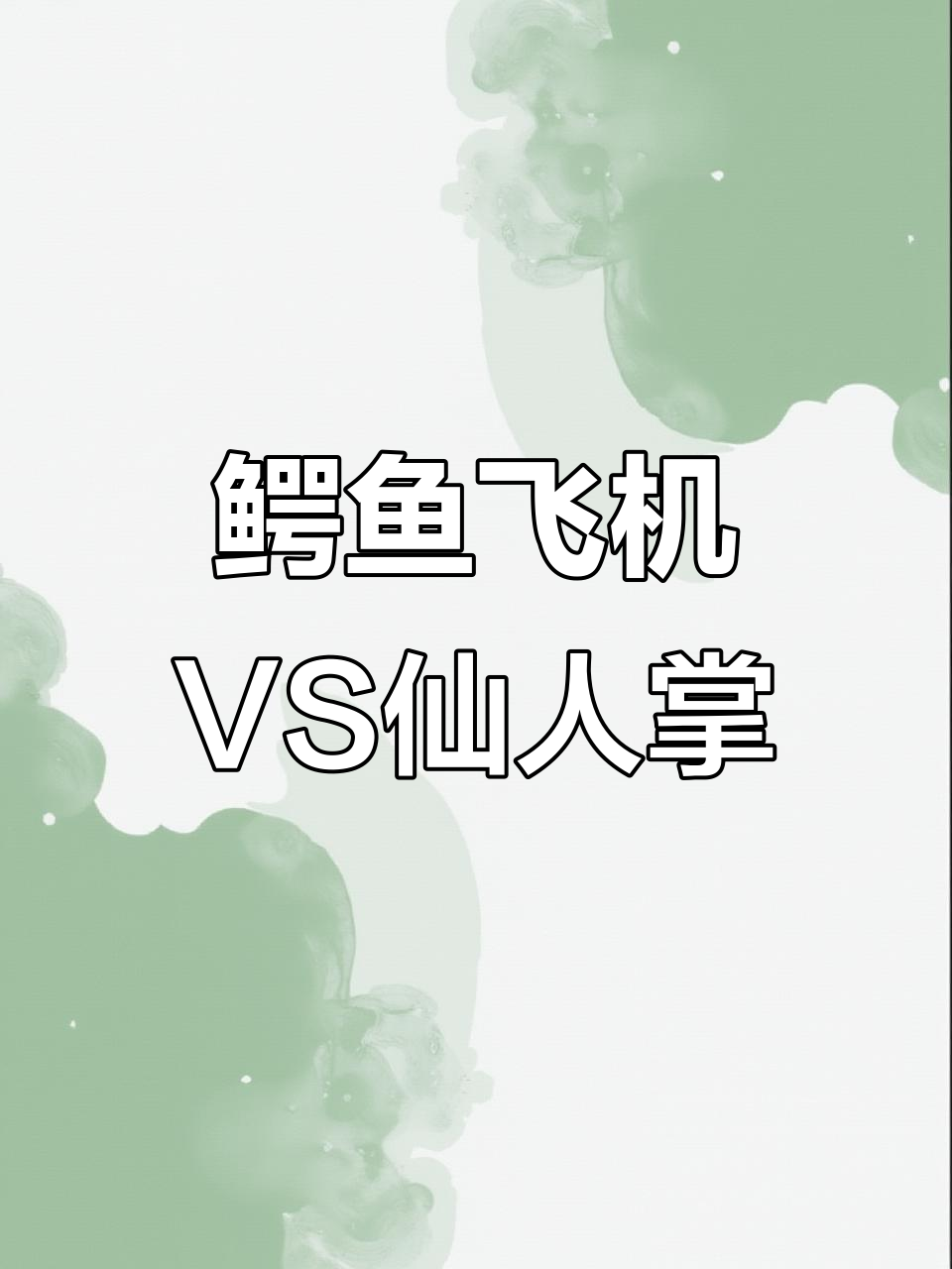鳄鱼飞机挑战咖啡忍者,仙人掌大象一招制敌