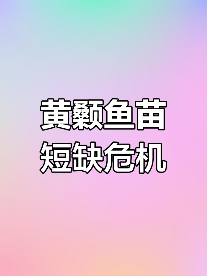 黄颡鱼苗供应紧张,价格高企,部分养殖场面临困境
