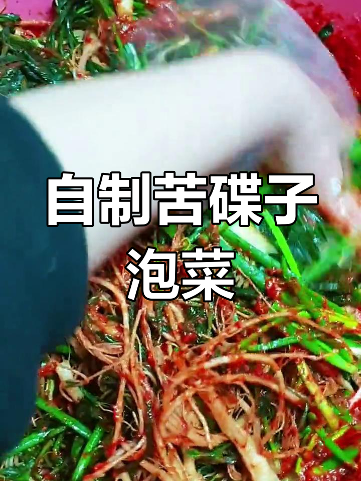 苦碟子泡菜制作全流程,韩国生活小技巧大公开