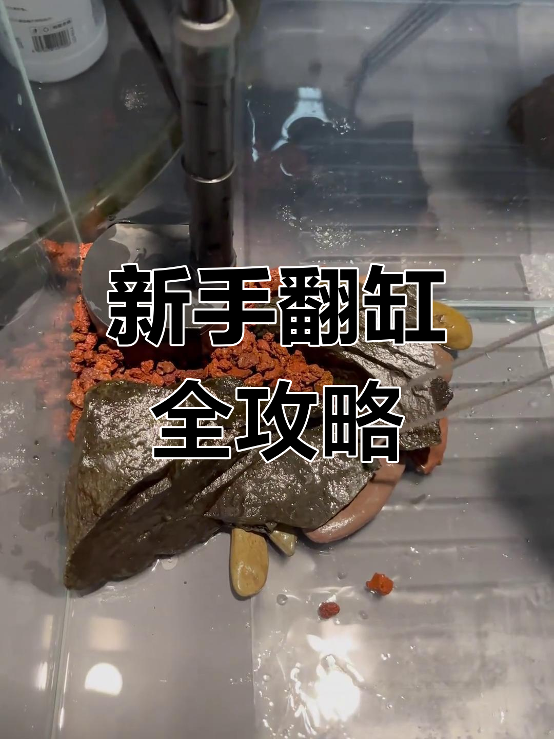 翻缸大作战!新手必看40小缸造景教程