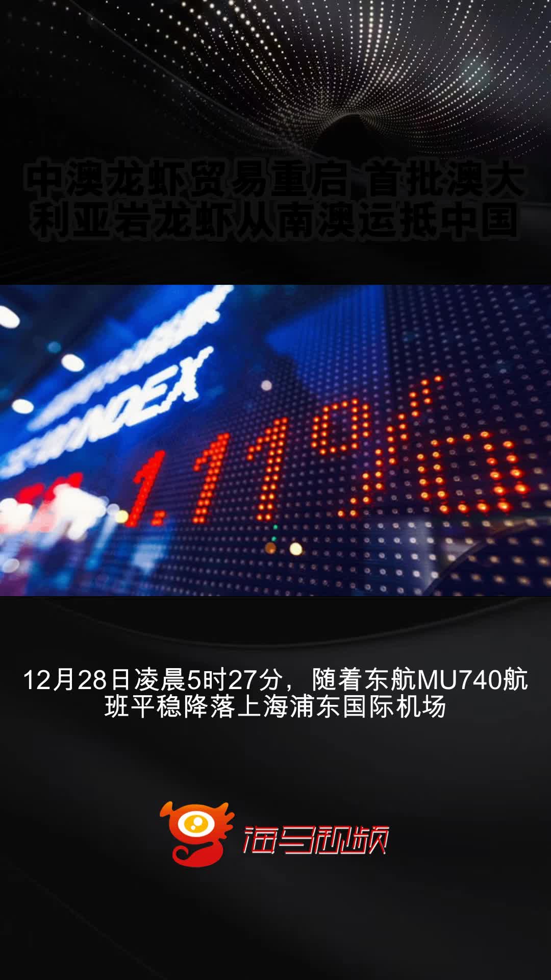 中澳龙虾贸易重启 首批澳大利亚岩龙虾从南澳运抵中国