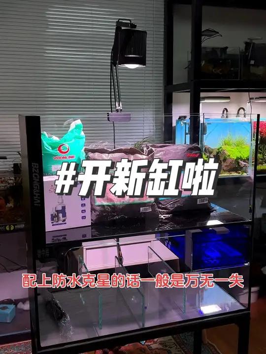 又又又到新缸了、一体式底滤缸、极窄溢流区、水刀一体切割真的不错 鱼缸里的大自然 养鱼养心 
