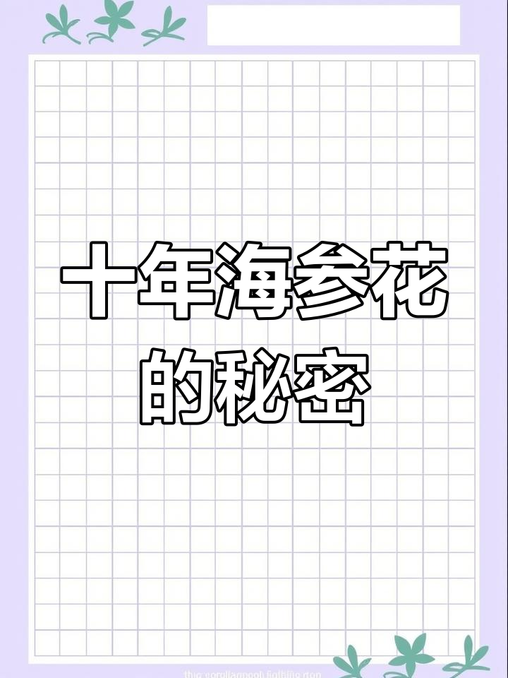 海参花:十年磨一汤,滋补养生全靠它