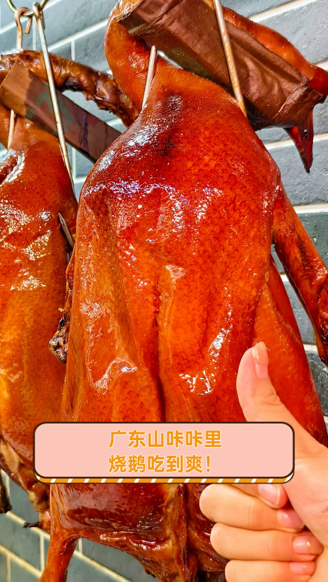 广东山咔咔里,烧鹅吃到爽!