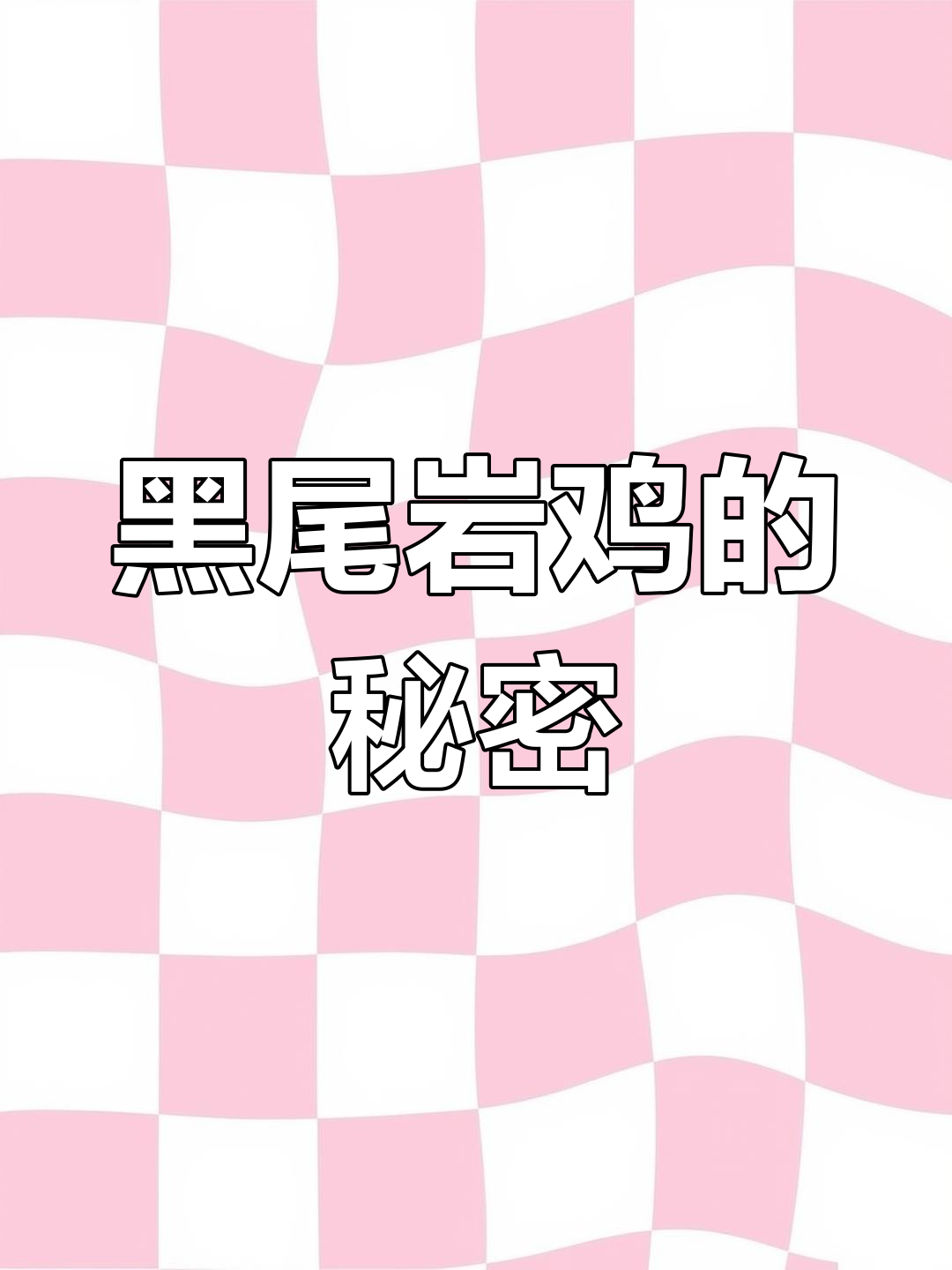 斯里兰卡国鸟黑尾岩鸡:吃一口判五年