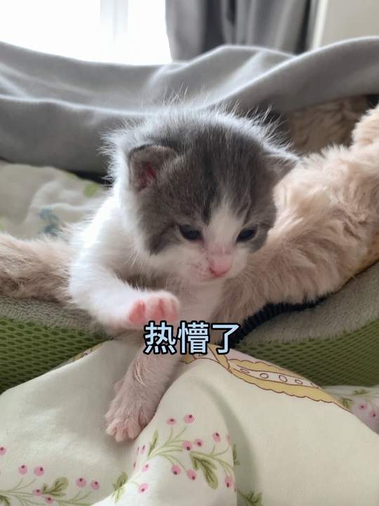 小鱼宝：好险，差点热死……