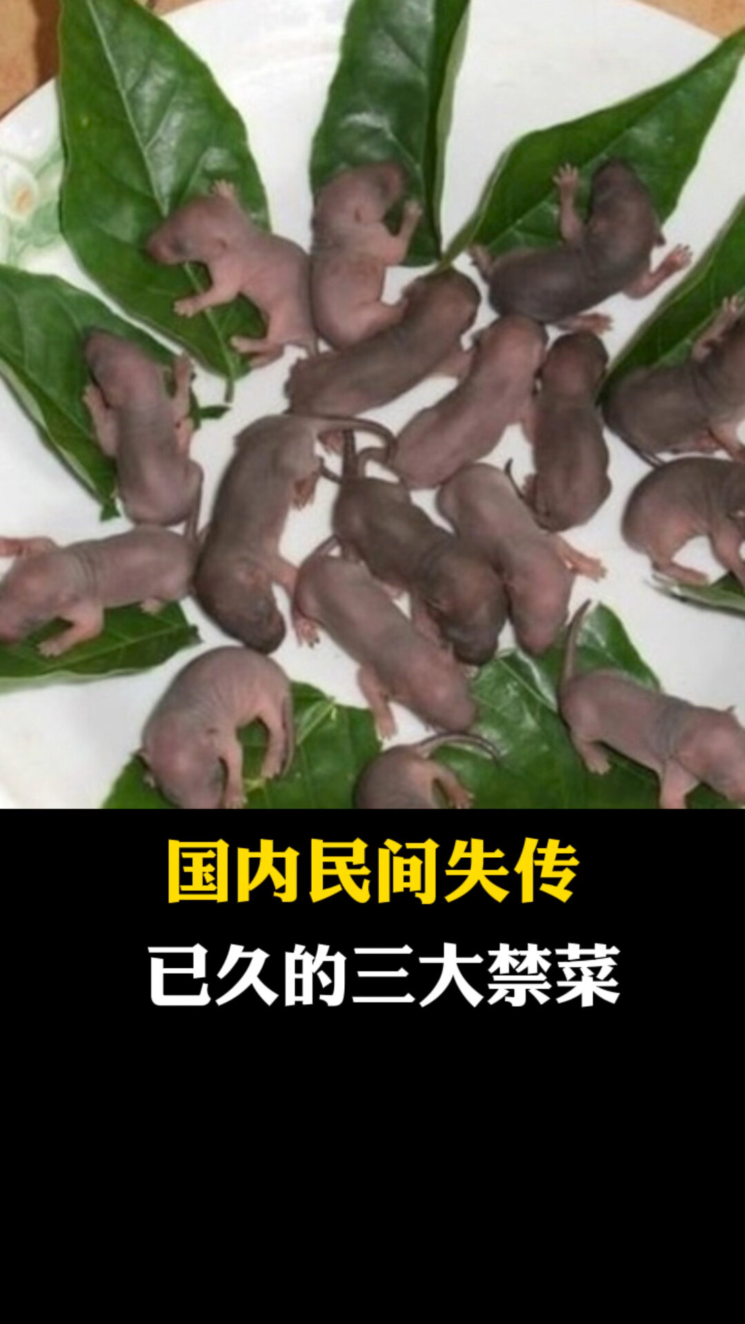 国内民间失传已久的三大禁菜