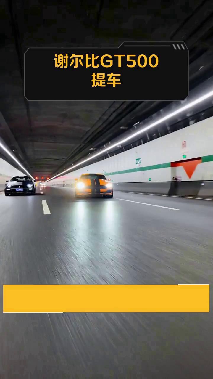 谢尔比GT500提车