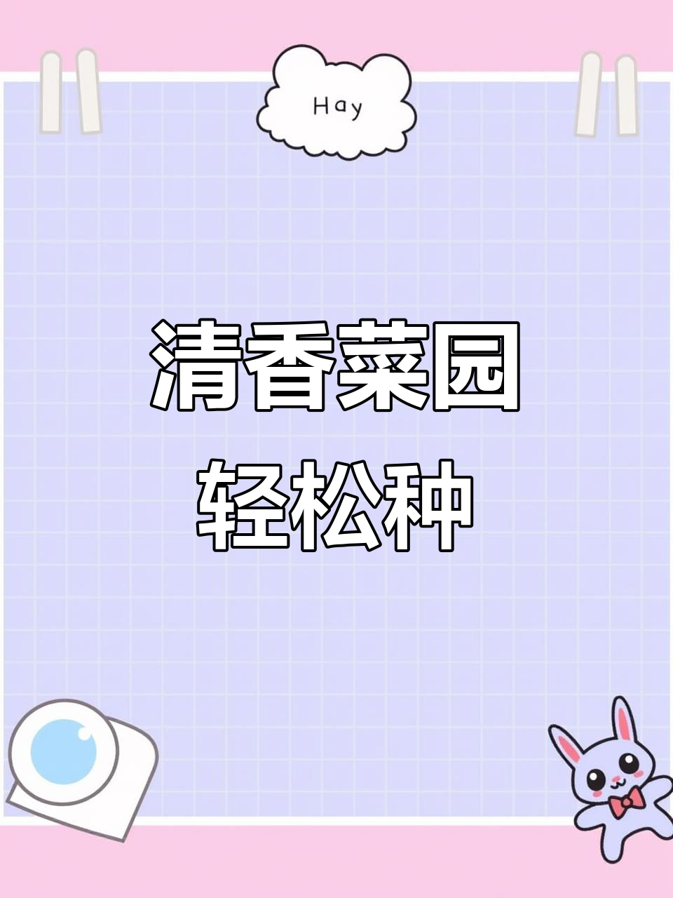 云南芫荽,轻松种植,打造清新小菜园!