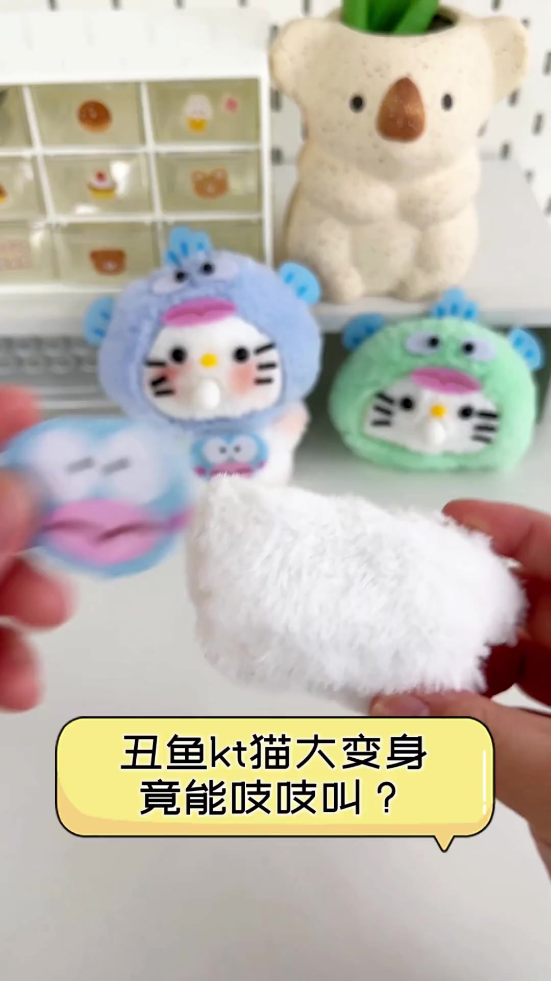丑鱼kt猫大变身,竟能吱吱叫?
