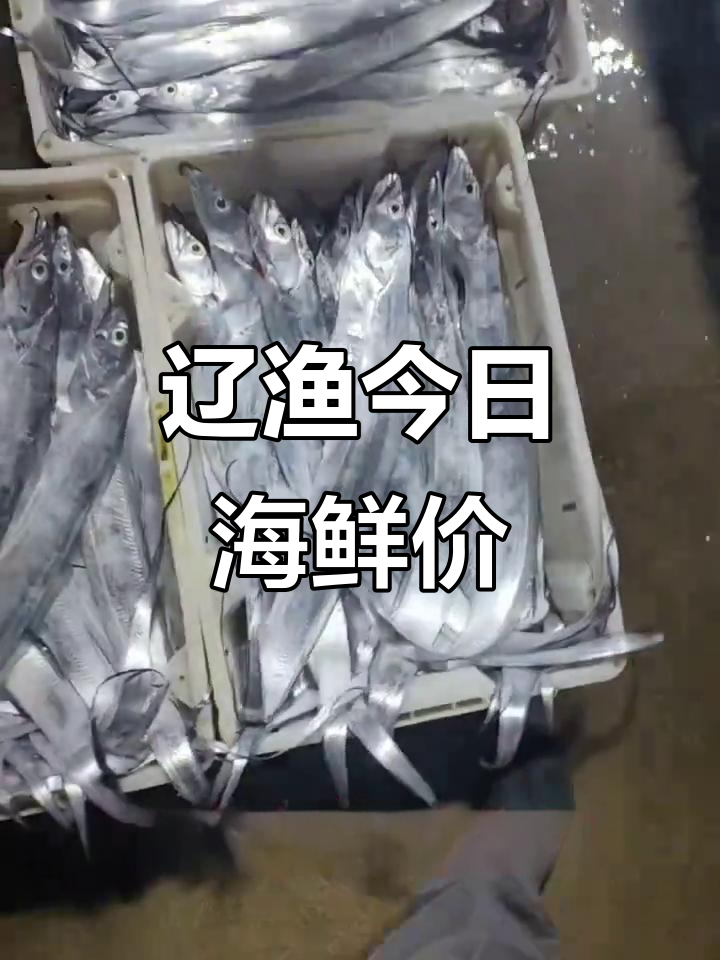 大连辽渔海鲜市场行情,鱿鱼鲍鱼价格一览