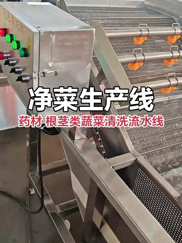 药材与蔬菜清洗风干线,高效净菜加工设备