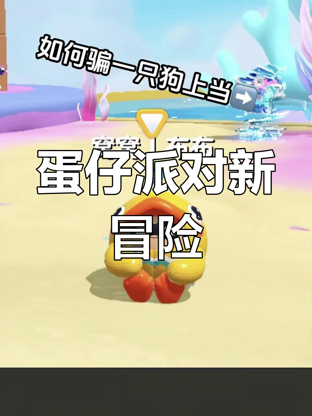 聪明有礼貌的小猫咪,举手抢小鱼干太可爱了