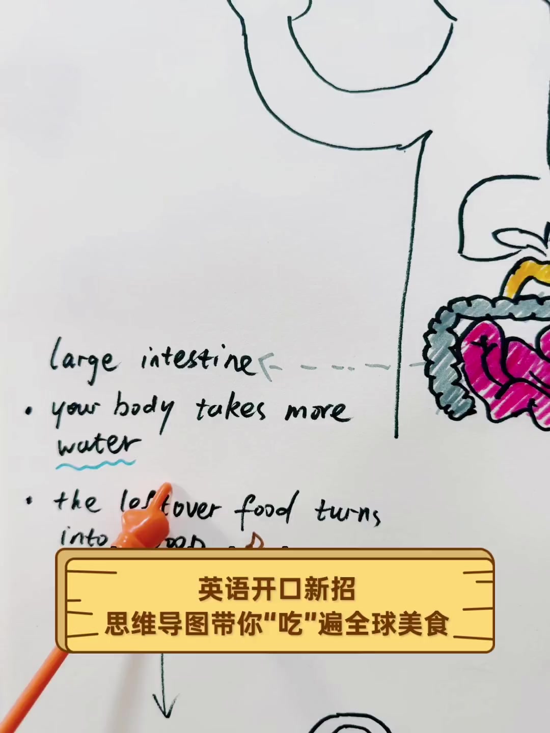 英语开口新招,思维导图带你“吃”遍全球美食