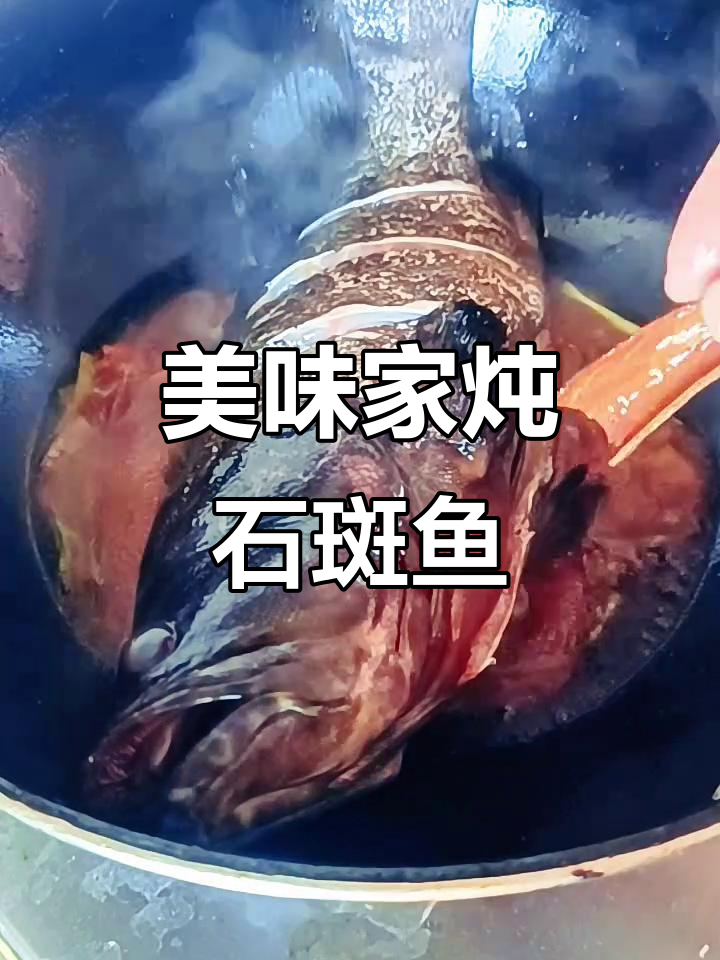 家炖石斑鱼,鲜美回味无穷