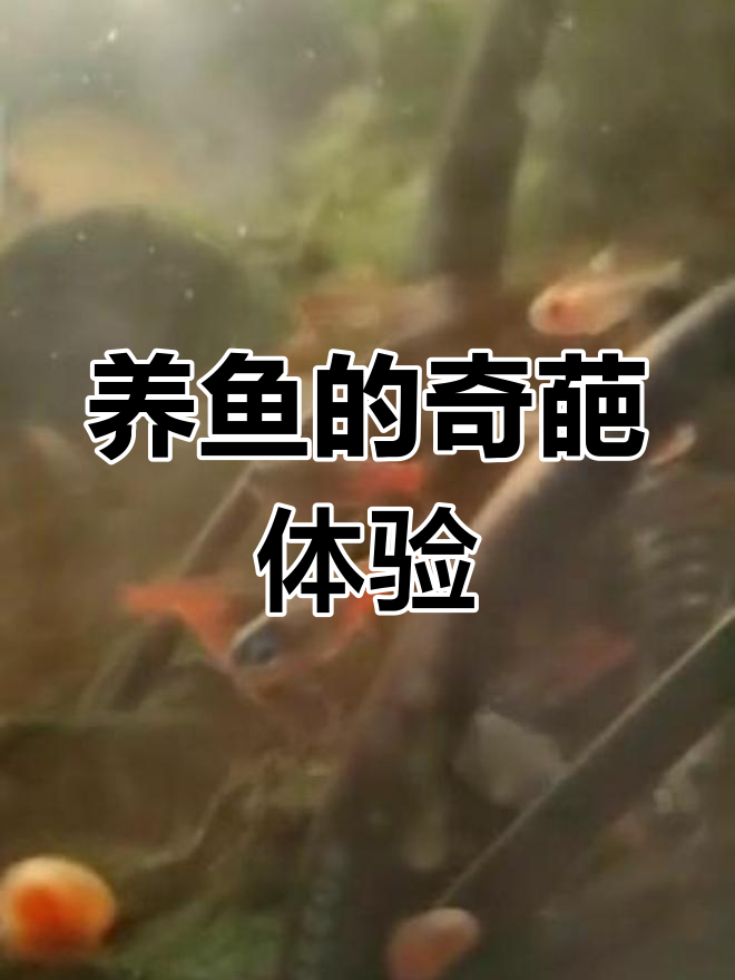 吐槽养鱼大潘:从蜕皮到口感崩塌,真是让人崩溃