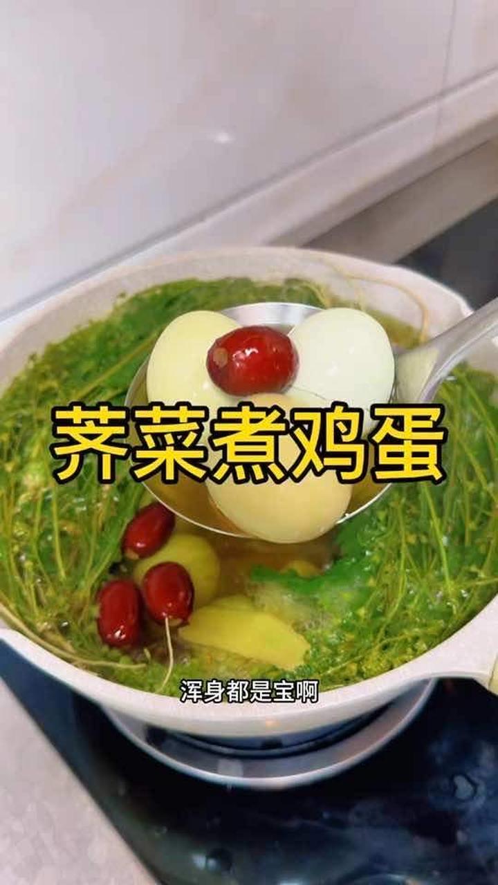 春天的野菜你们吃到哪种了