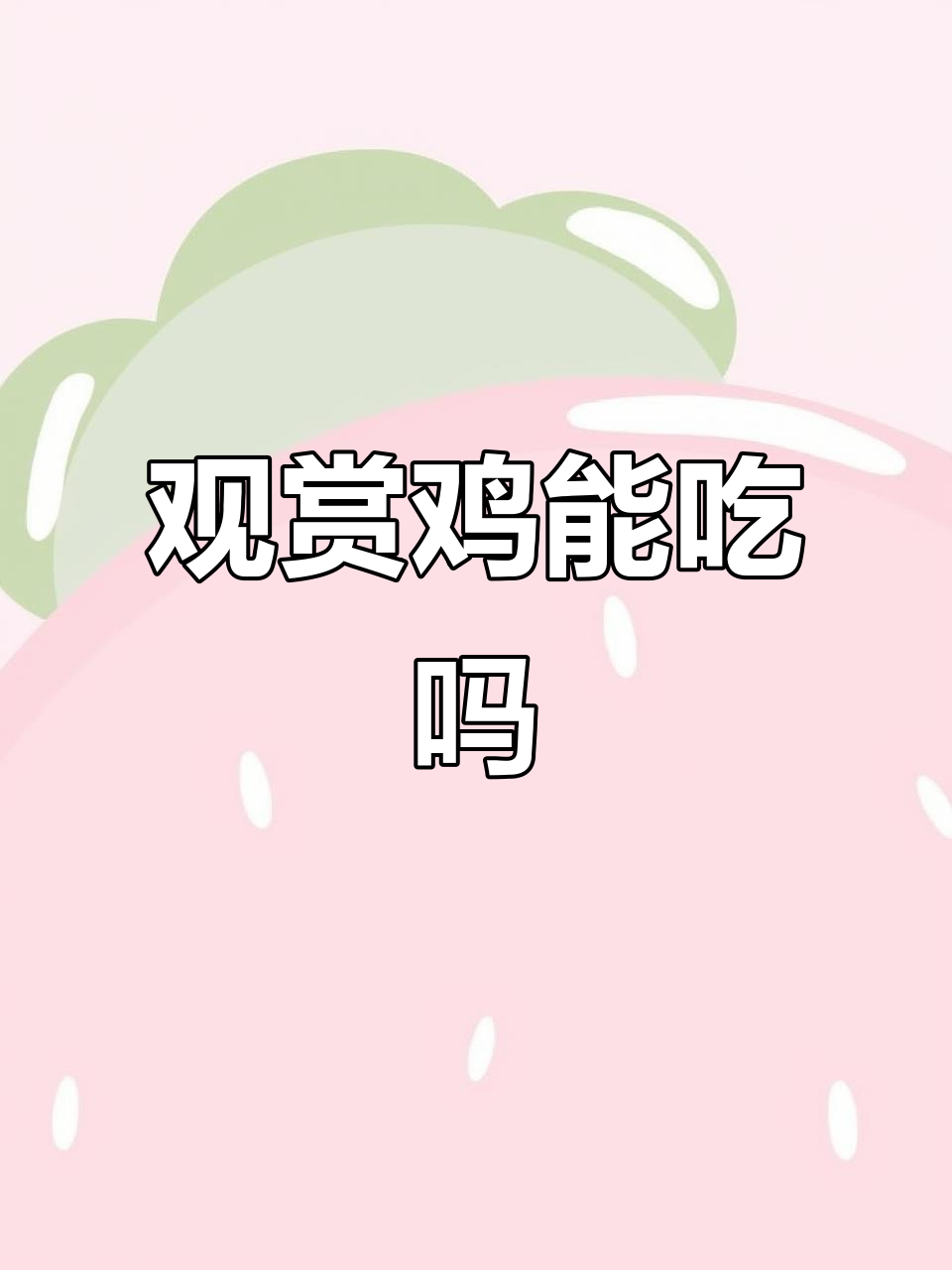 这些观赏鸡能吃吗?了解世界最小家鸡品种