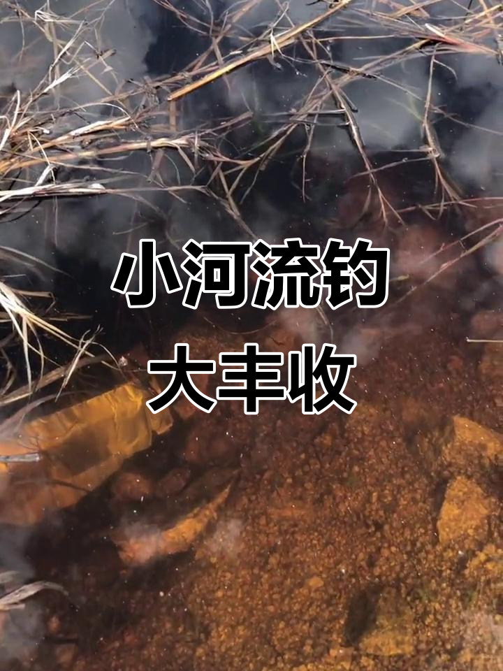 乡村小河钓鱼,山胖头鱼和柳根超多!