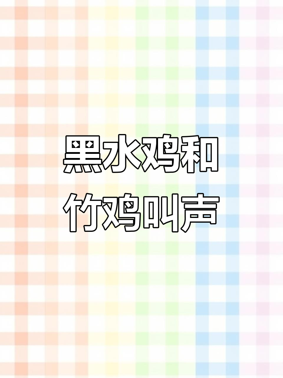 竹鸡与黑水鸡的叫声大比拼,春节期间照发