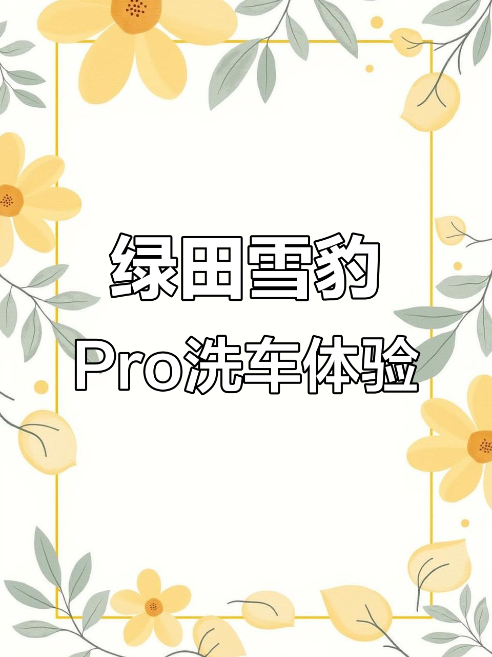 绿田雪豹Pro洗车机深度体验,飞雪比例调配效果惊艳