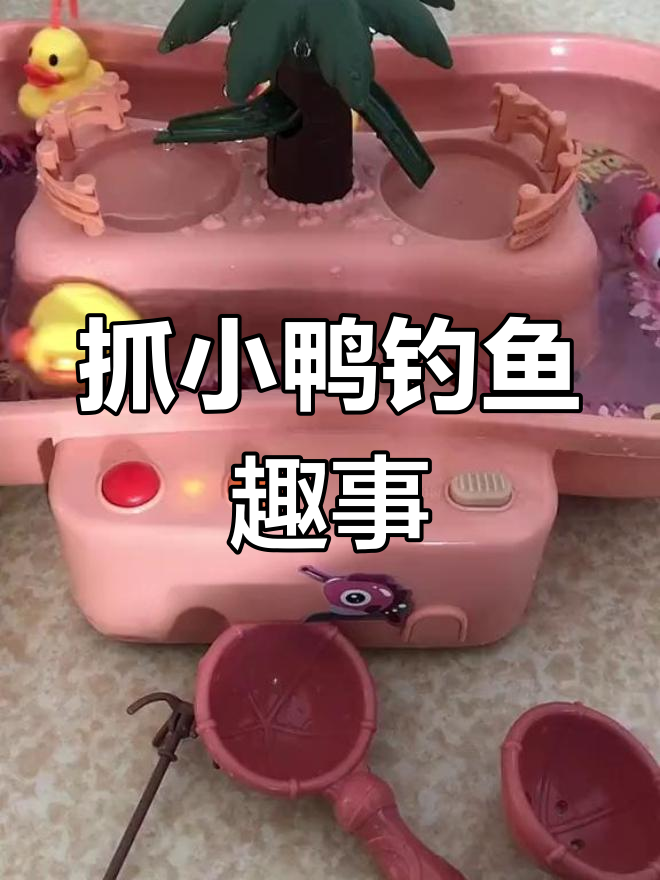 小鸭小鱼大冒险,捞一只小鸭子再钓一条漂亮的小鱼