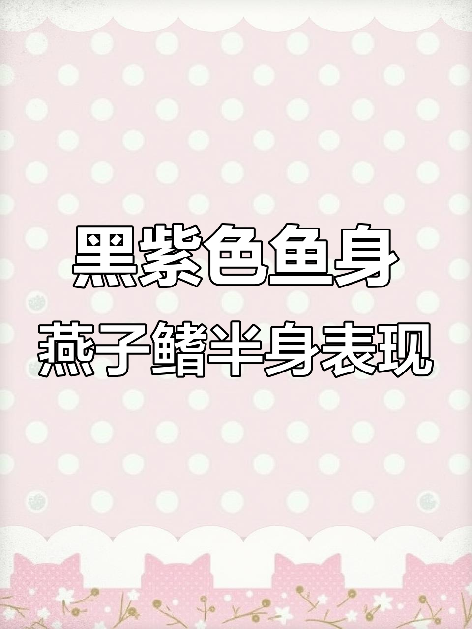 玄紫光鳞:黑剑与银剑的完美融合,带你领略神秘弓箭之美