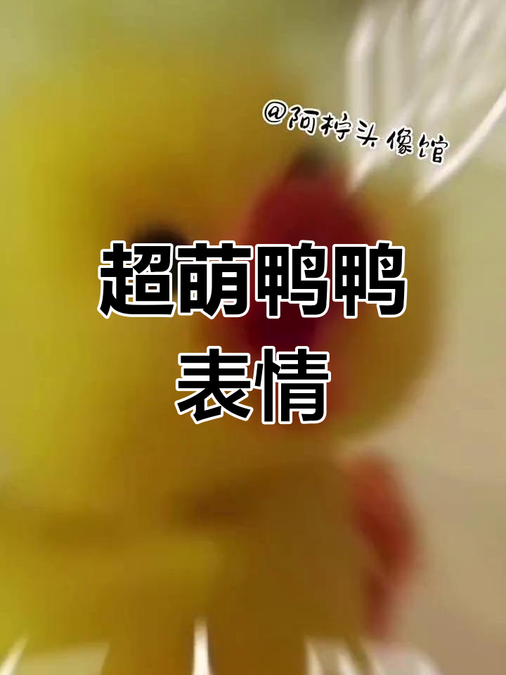 鸭鸭表情包大揭秘,搞怪又可爱!