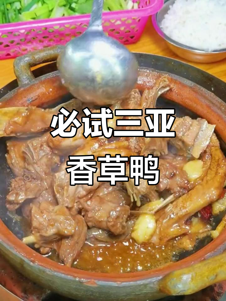 三亚这家香草鸭,吃上一口就停不下来!