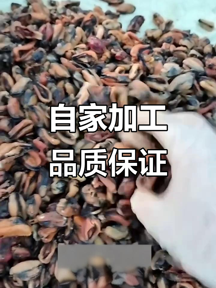 自家晾晒海虹干、蛋干鱼干,无盐虾皮美味十足