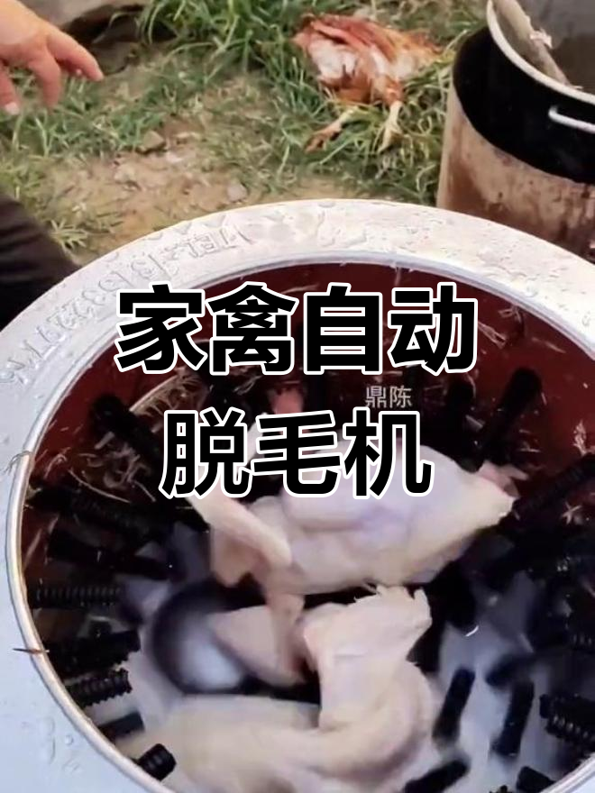 移动式家禽脱毛机,电瓶驱动,适用于鸡鸭鹅