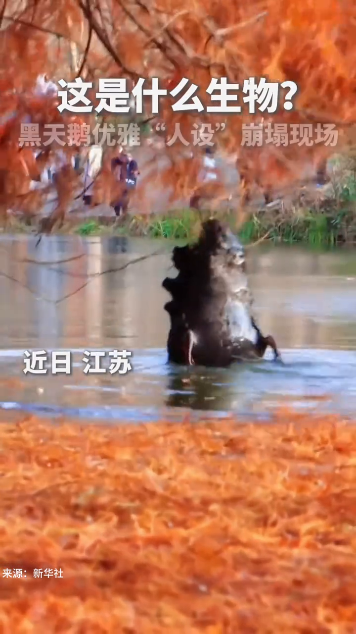 这是什么生物?鳄鱼还是哥斯拉?