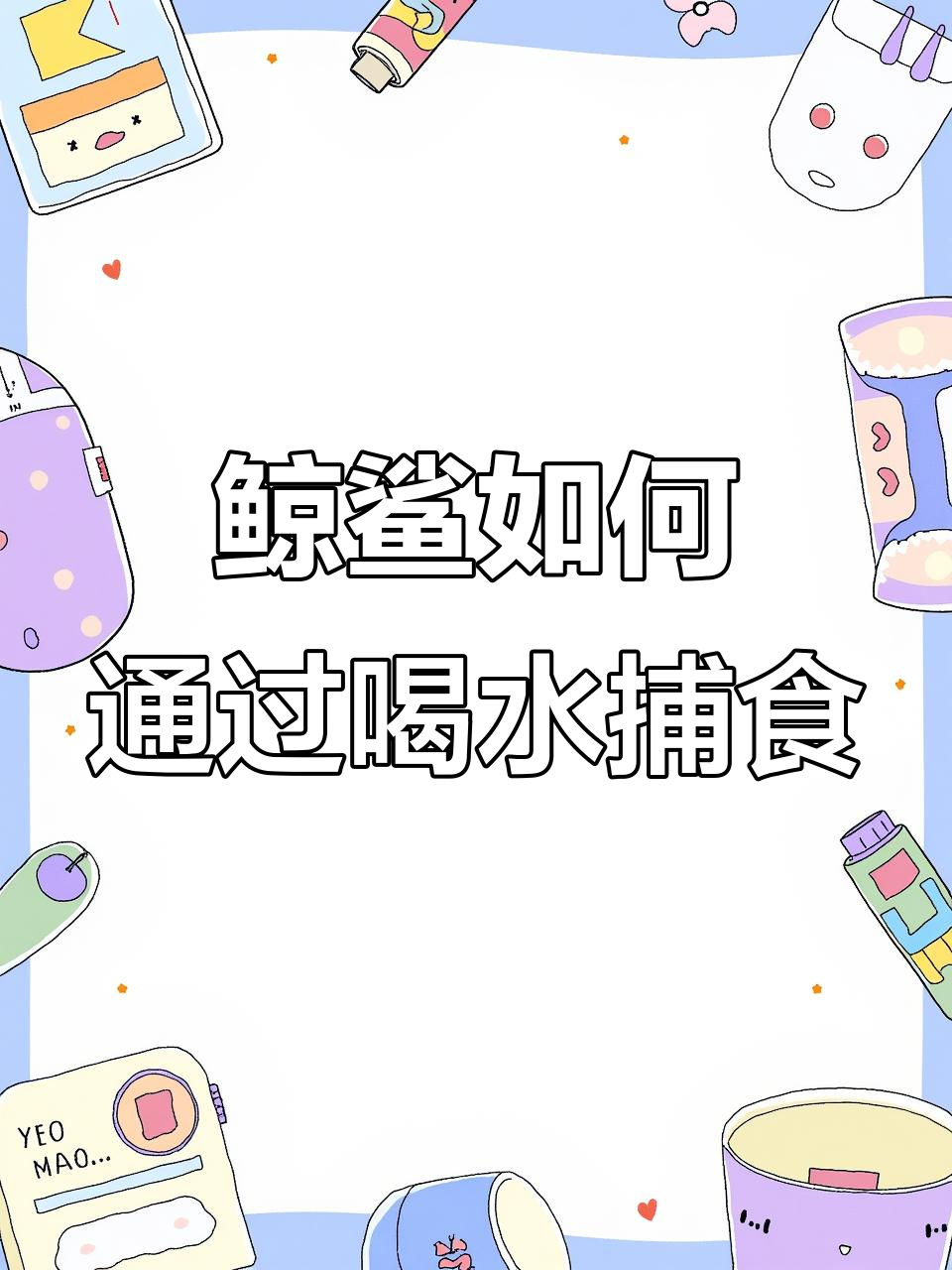 鲸鲨为何饿了就喝水?揭秘滤食性鲨鱼的进食方式