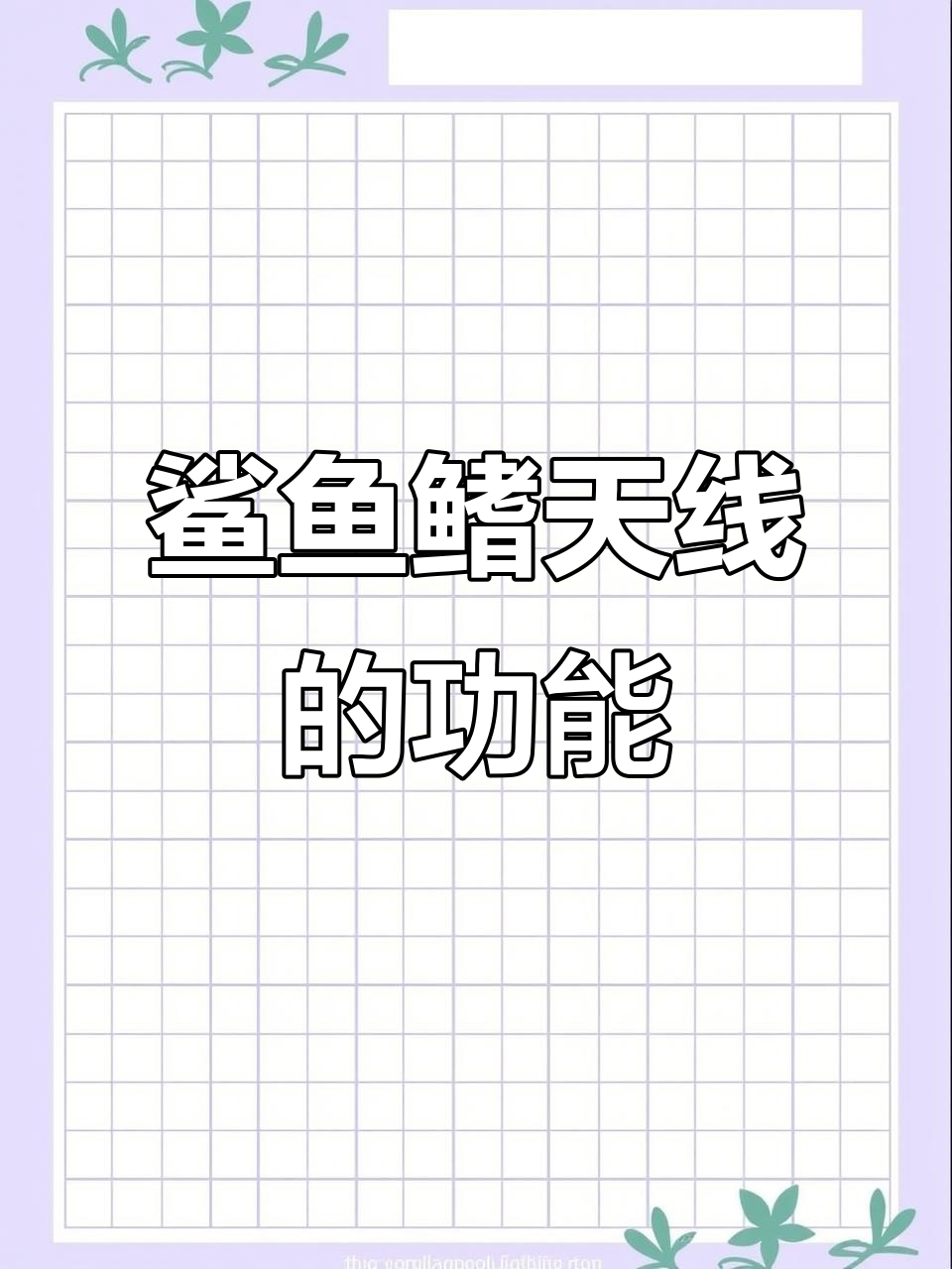 鲨鱼鳍天线到底有啥用?揭秘汽车顶部的神秘装置