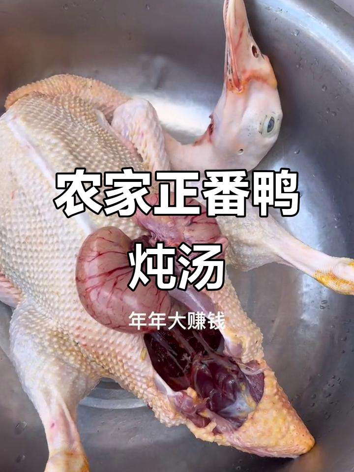 正番鸭炖牛鞭汤,农家原汁原味美味