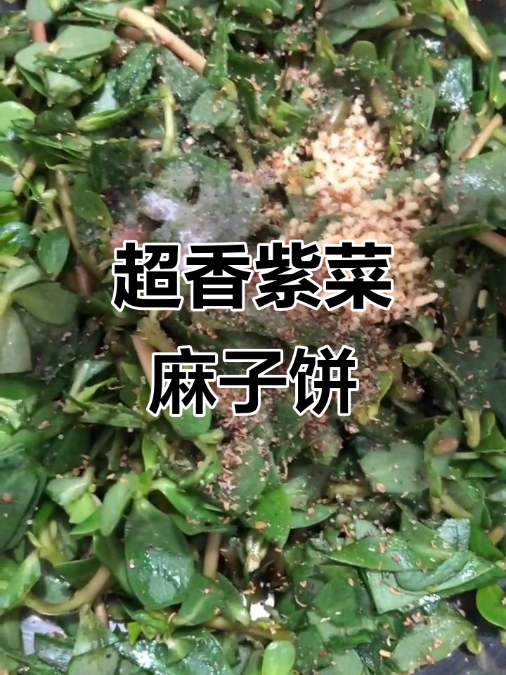 紫菜麻子菜馍,做法超简单又美味