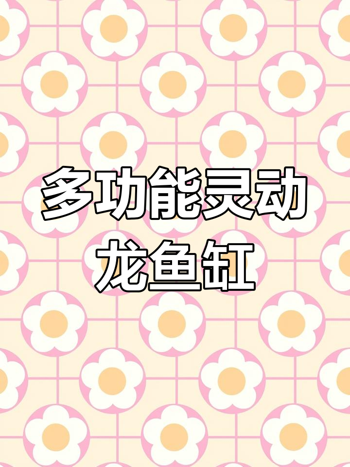 灵动龙鱼缸改造:底滤与上滤组合,功能多样玩法多