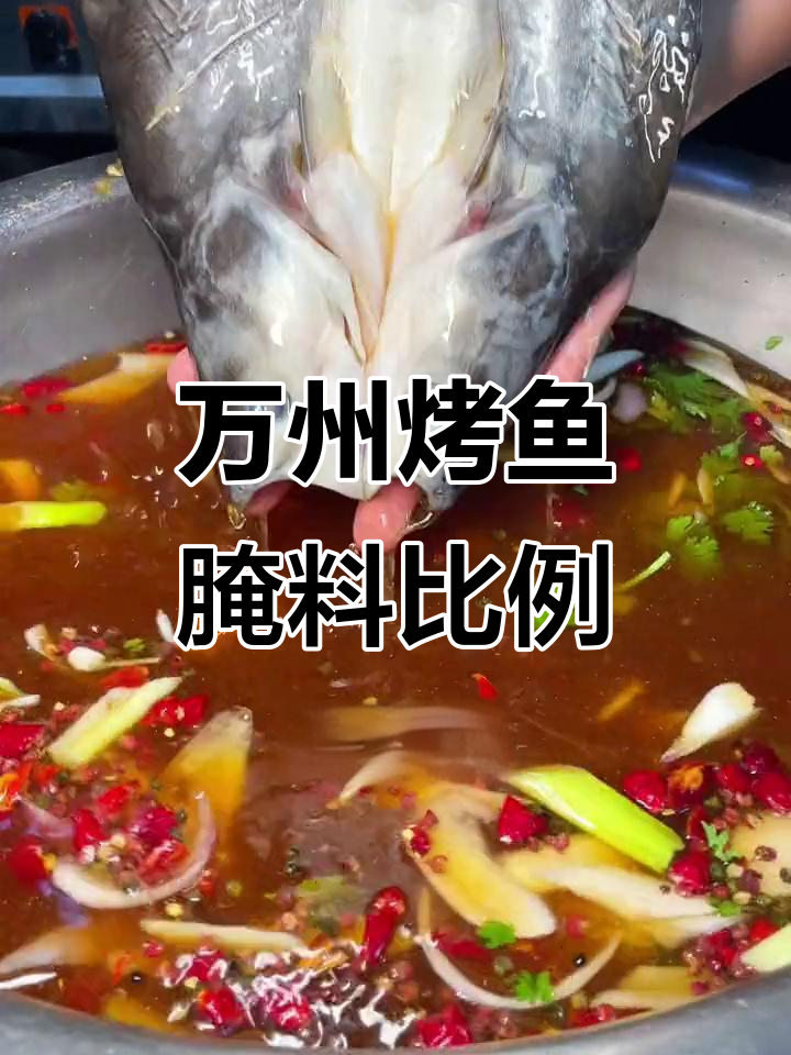 万州烤鱼料水配方大揭秘,轻松腌制二十斤鱼肉