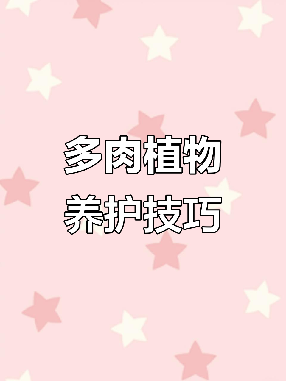 如何正确养护50棵多肉植物,轻松打造健康根系