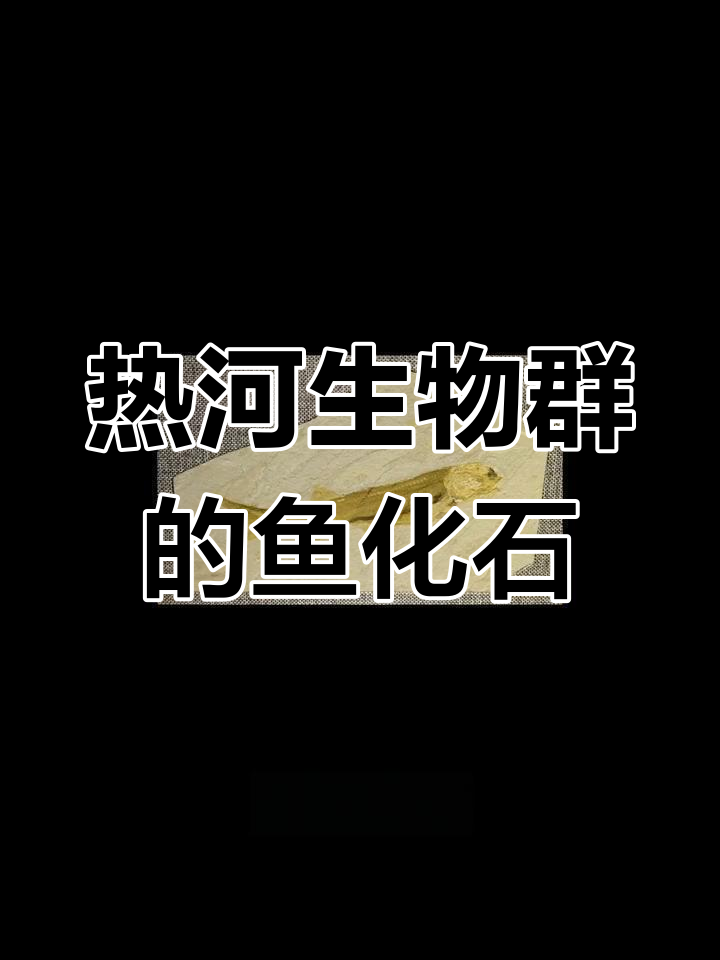 潘氏北票鲟:热河生物群中的软骨鱼类化石揭秘