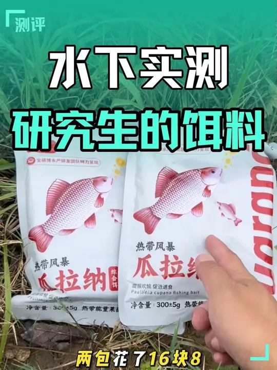 硕博竟然也做鱼饵?实测学院派设计的饵料在野钓环境的综合表现