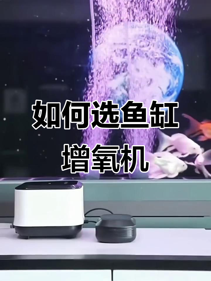 鱼缸增氧泵选择指南,如何挑选适合的氧气设备
