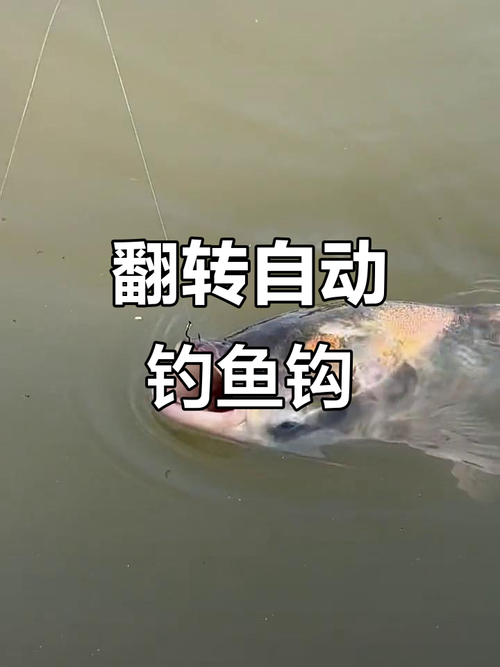 自动翻转鱼钩,轻松钓住大鱼!