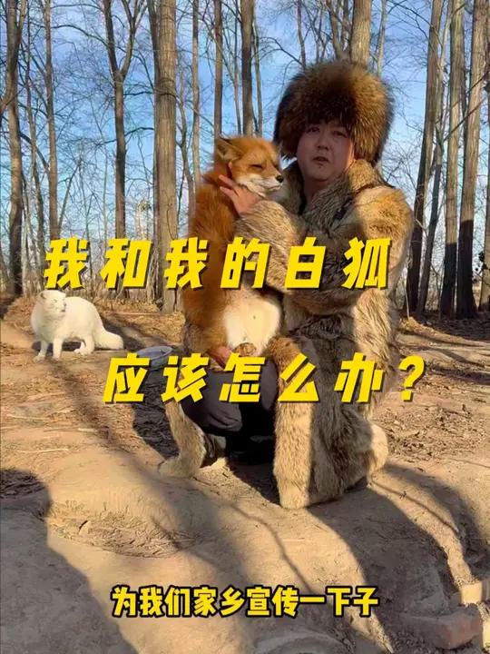 我和我的白狐应该怎么办?真是一条鱼腥了一锅汤。我还能带着我家狐狸拍照么