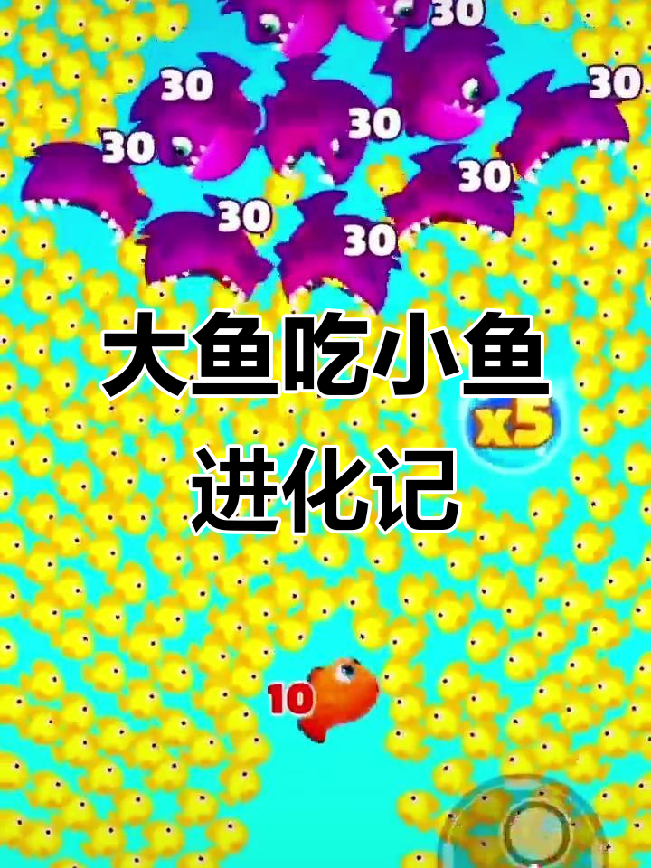 从小鱼到大鲸鱼,大鱼吃小鱼的奇妙进化